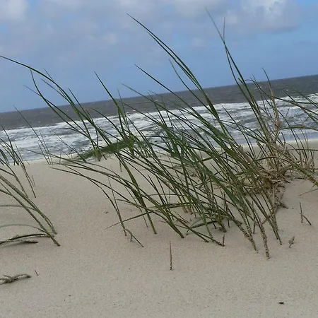 Be Bio Be Active - Naehe Historischer Hafen Otel 4*