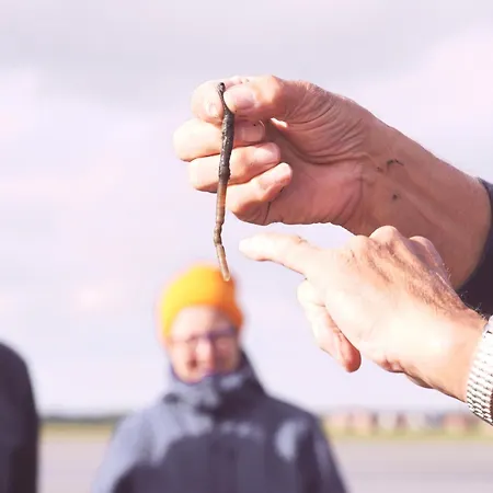 Be Bio Be Active - Naehe Historischer Hafen