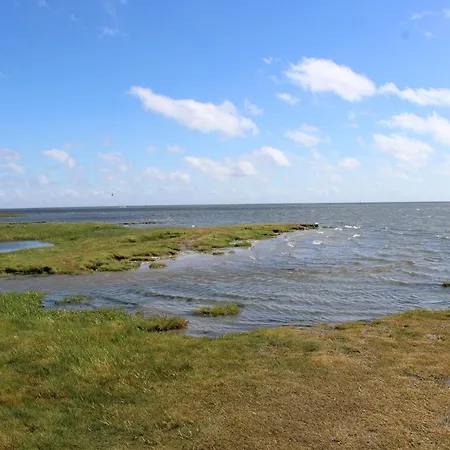 Be Bio Be Active - Naehe Historischer Hafen