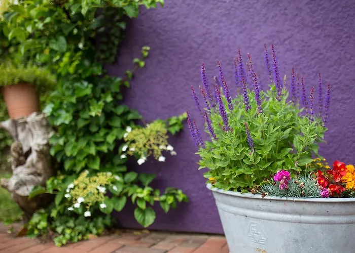 Be Bio Be Active - Naehe Historischer Hafen