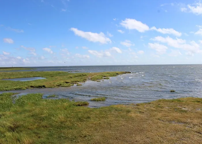 Be Bio Be Active - Naehe Historischer Hafen